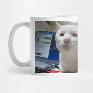 Serious Cat Meme Mug